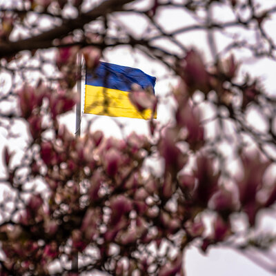 Весняний Харків — фото квітучого міста та природи