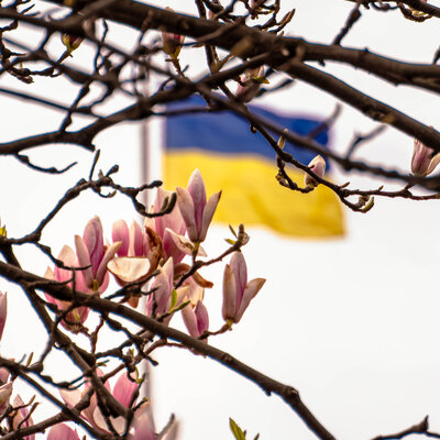 Весняний Харків — фото квітучого міста та природи
