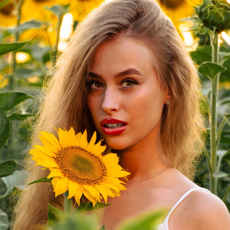 Фотосесія в соняшниках на золотій годині — біла сукня в полі